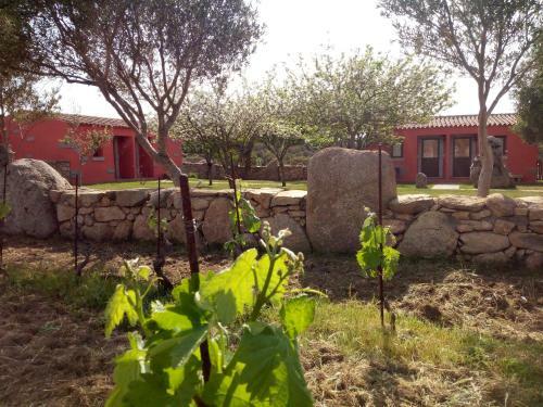 Agroturismo Agriturismo L'agliuledda