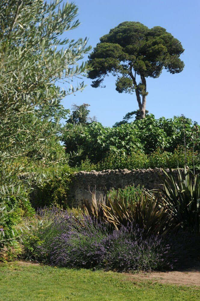 Bed & Breakfast Les Chambres D'andrea