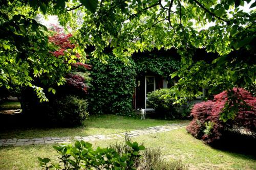 B&B L'albero Maestro