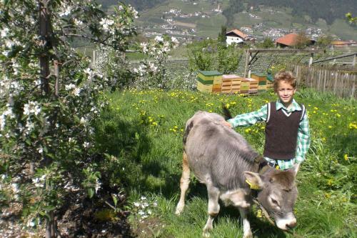 Agroturismo Krebishof