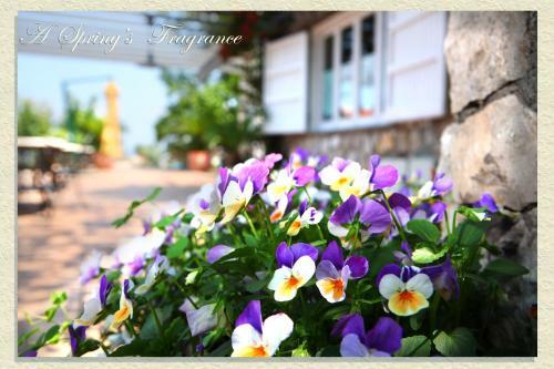Bed & Breakfast Villa Ketty Resort