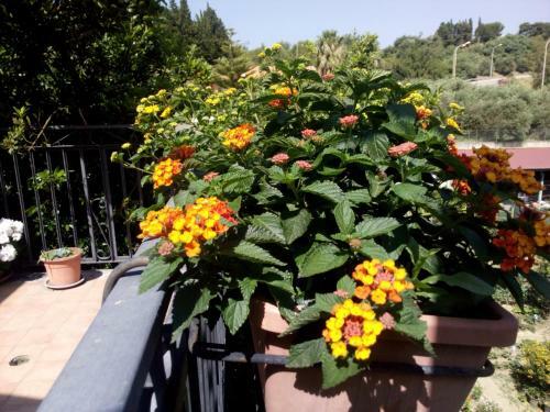 Apartamento Casa Vacanze Terme
