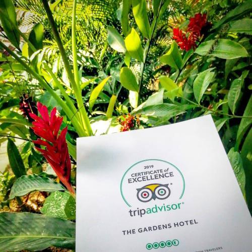 Aparthotel Giardino Tropicale