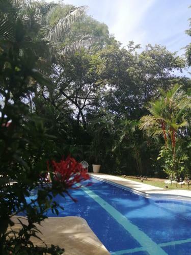 Aparthotel Giardino Tropicale