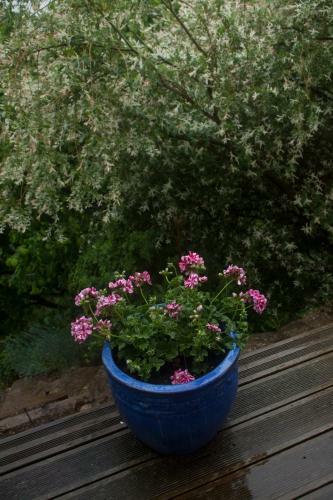 Bed & Breakfast Chambre D'h�tes La Bichette