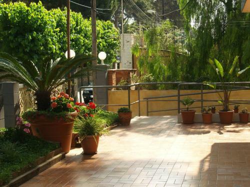Hotel Mi�o