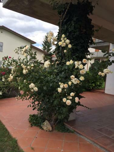 B&B Margherita Le Fiabe