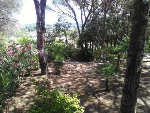 Apartamento Villa Verde