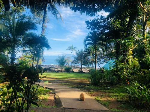 Corcovado Adventures Tent Camp