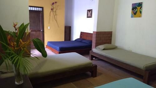 Hostal Casa De Los Virreyes