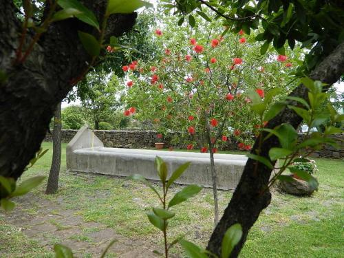 Agroturismo Sa Mola Srl