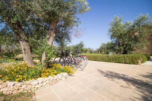 Bed & Breakfast Biancolivo Gallipoli In Salento