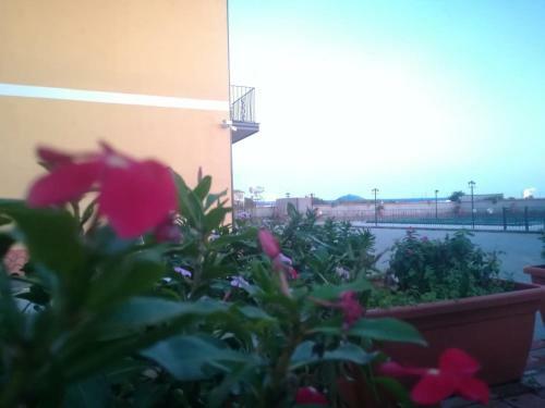Bed & Breakfast I Colori Dell'etna