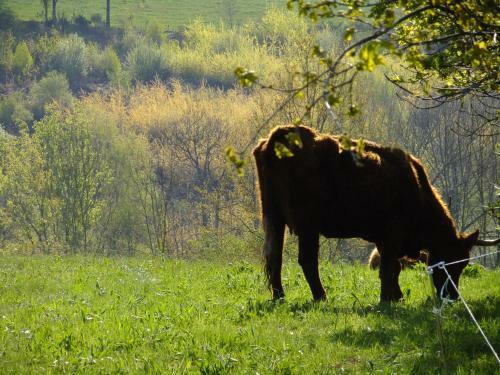 Bed & Breakfast Chambres D'h�tes Le Foursou