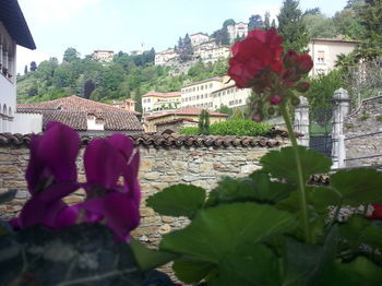 B&B Agnese Bergamo Old Town Charme