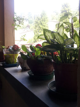 B&B Agnese Bergamo Old Town Charme