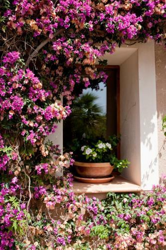 Agroturismo Can Patro