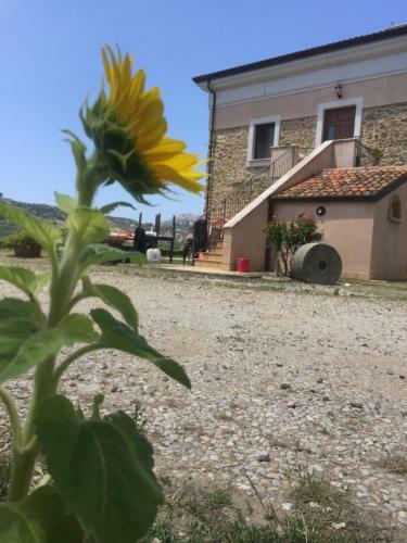 Bed & Breakfast Casale Tiano