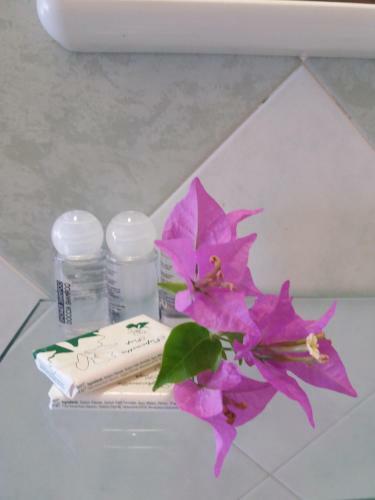 Aparthotel Florenza Residence