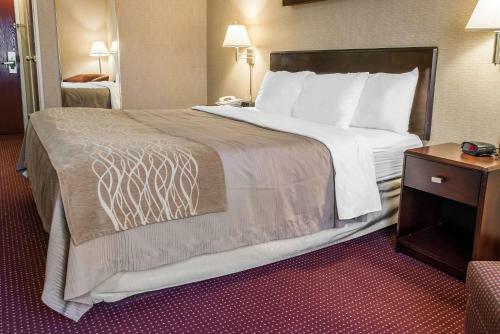 Hotel Comfort Inn Meadowlands