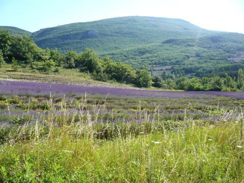 Hostal Maison D'h�tes La Honas
