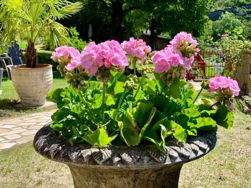 Bed & Breakfast Villa St. Hubert