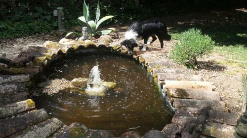 Bed & Breakfast Chambres D'h�tes Bonnefont