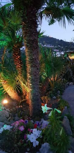 Apartamento L'incanto Di Cala Feola