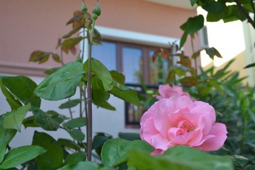 Apartamento Melina's House