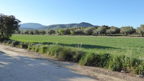 Agroturismo Casa Rural Mas De Sant Pau