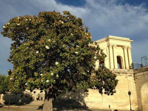 Bed & Breakfast Ma Chambre � Montpellier