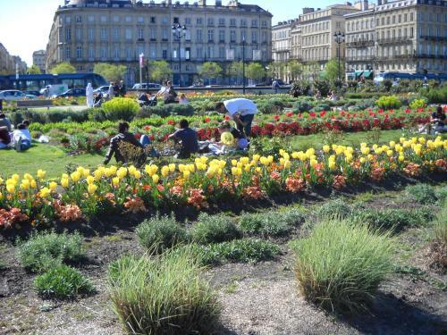 Apartamento Beautiful Old Property In Bordeaux Center