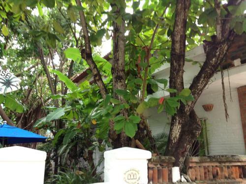 Hostal Sayulita Beach House