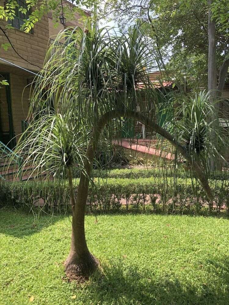 Bed & Breakfast Casa Del Reto�o