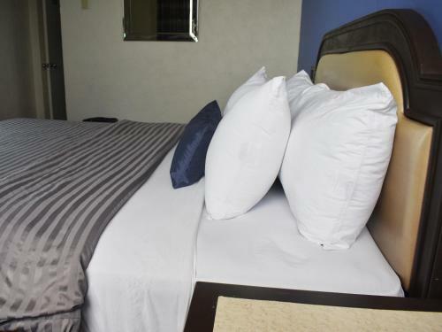 Hotel Corona Plaza