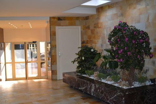 Apartamento Palais Lumi�re
