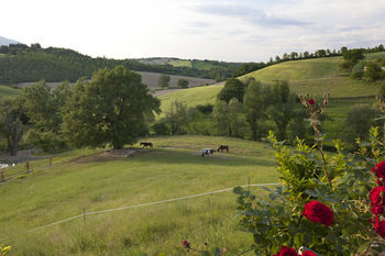 Apartamentos Resort Umbria Spa