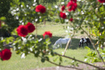 Apartamentos Resort Umbria Spa