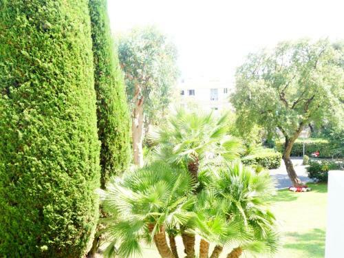 Apartment Alexandra Palace Cannes