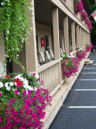 Tall Pines Motel