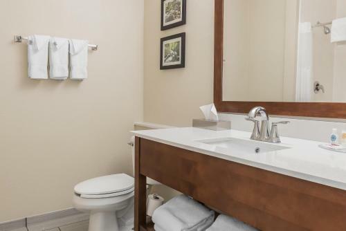 Hotel Comfort Inn Indianapolis