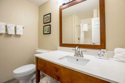 Hotel Comfort Inn Indianapolis