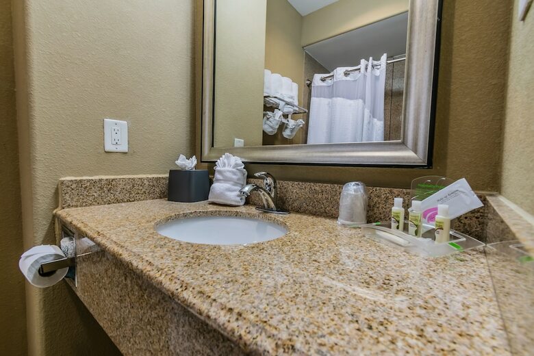 Hotel Holiday Inn Houston-webster