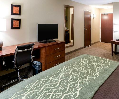 Hotel Comfort Inn & Suites- Rochester