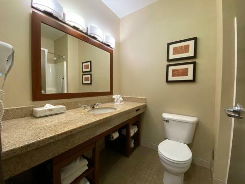 Hotel Comfort Suites Coralville