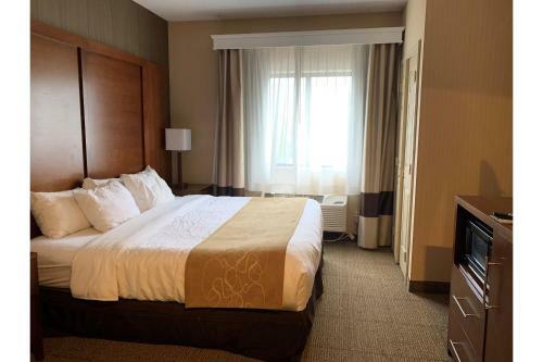 Hotel Comfort Suites Buffalo Airport