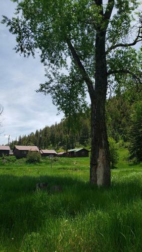 San Juan Motel & Cabins