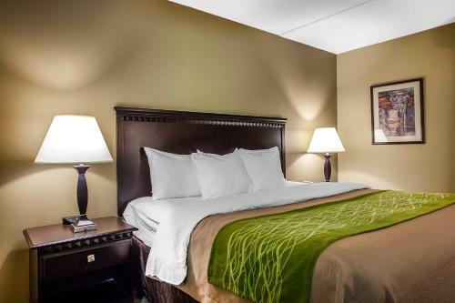 Hotel Comfort Inn Edison