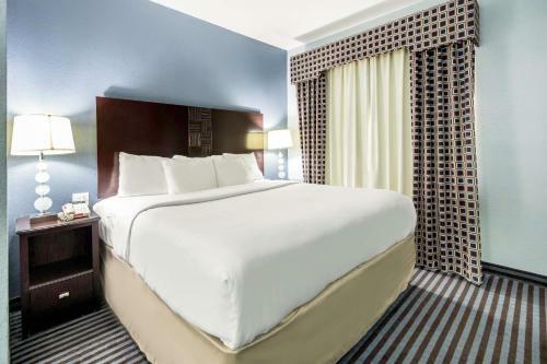 Hotel Comfort Suites Mineral Wells