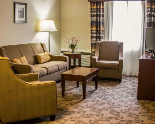 Hotel Comfort Inn Birch Run